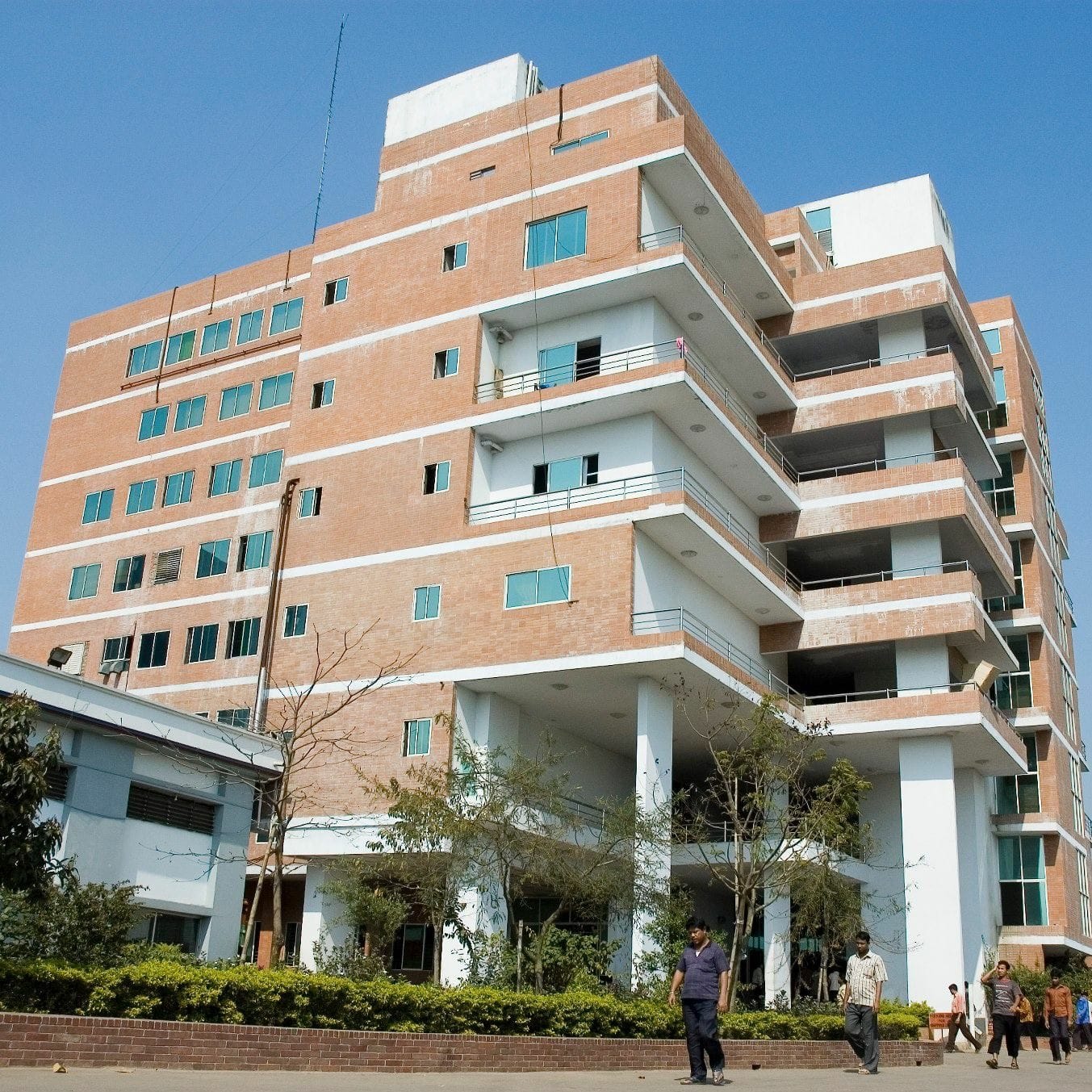 Factory floor — sewing lines